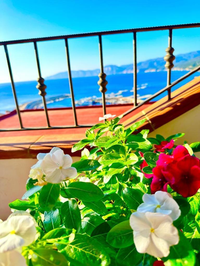 Apartmán Cala Gonone House Exteriér fotografie